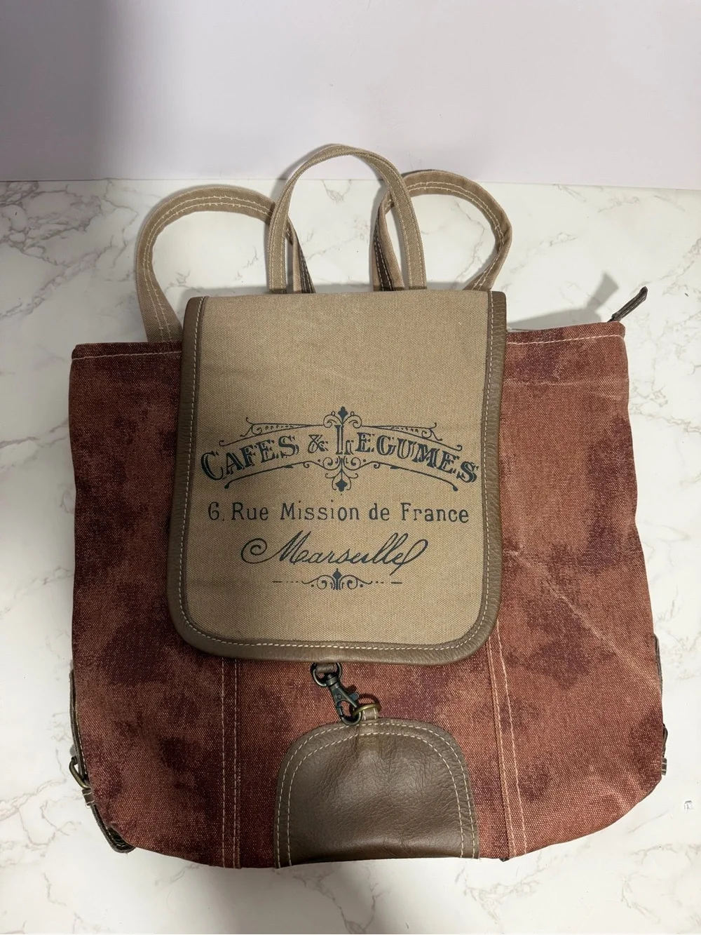 Myra Vintage-Inspired Brown Canvas Backpack Tote - Cafe & Legumes